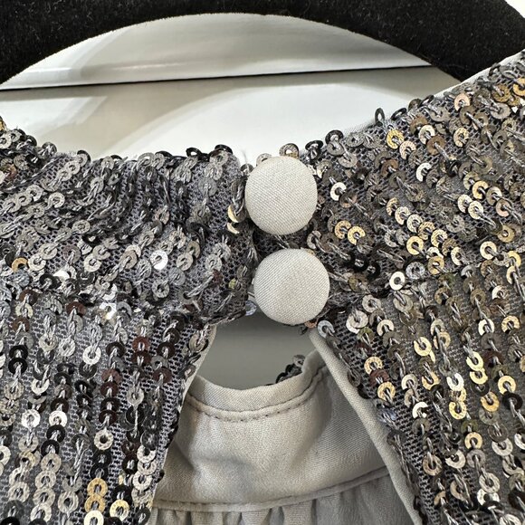 Gorgeous Loft Silver/Grey Sequin Dress – Size Small NWT - Picture 4 of 8